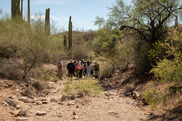 Students hike through a wash